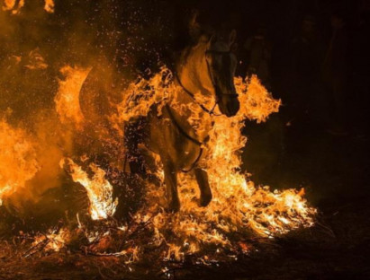 Lễ hội - Ấn tượng đàn ngựa chạy qua lửa bốc cháy ngùn ngụt trong lễ hội kỳ thú