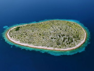 Hòn đảo hình dấu vân tay