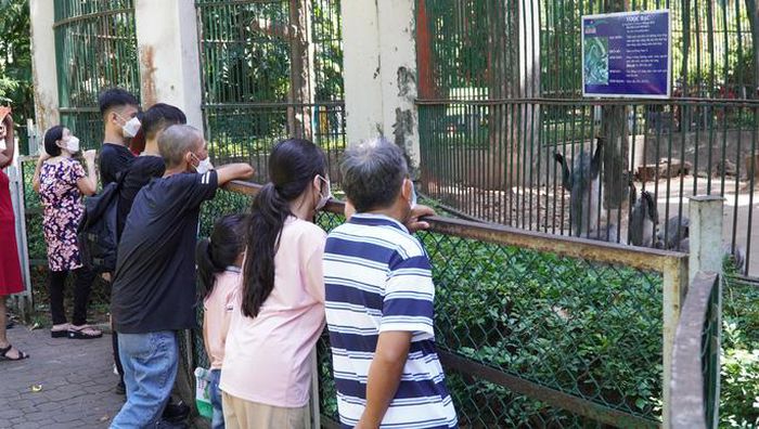 Thảo Cầm Viên Sài Gòn nhộn nhịp đón khách, miễn phí trẻ em dưới 1,3m - 16