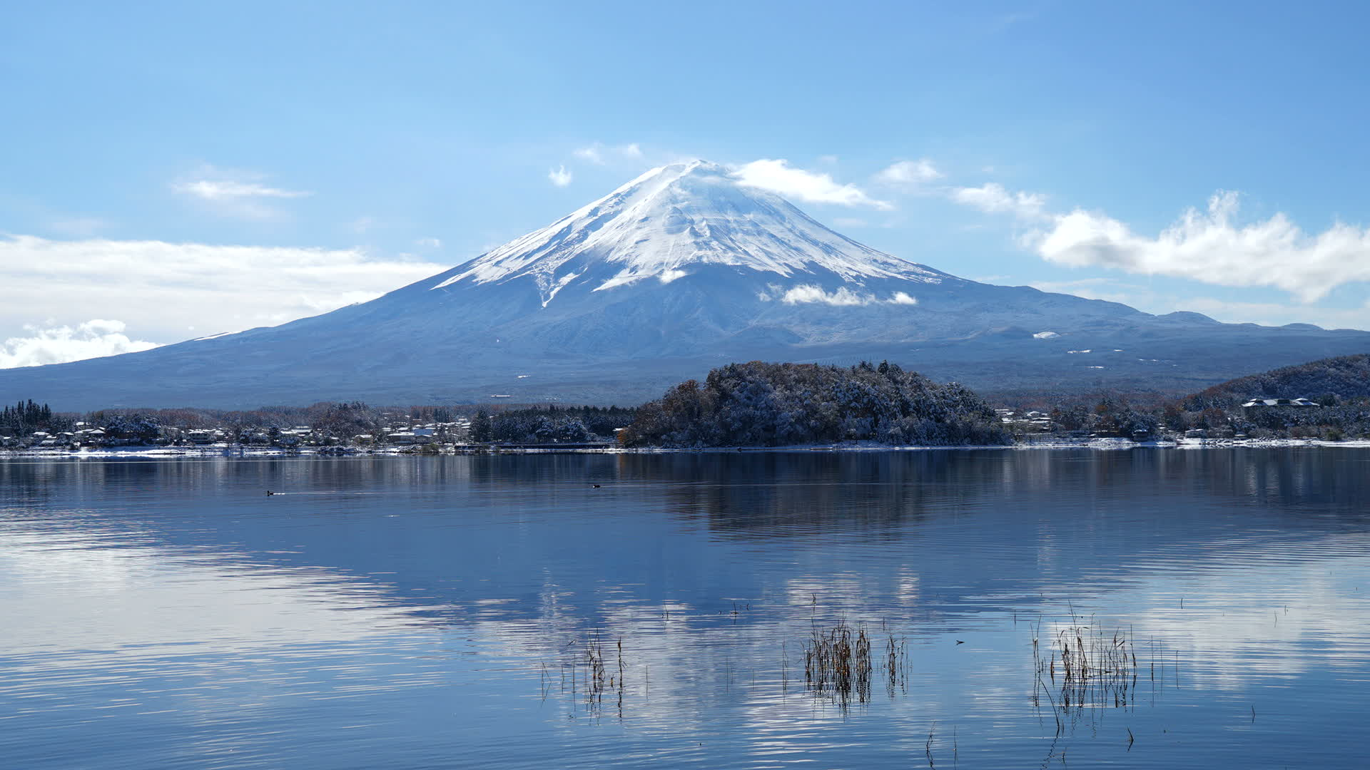 Cảnh đẹp bốn mùa quanh năm thuần khiết tuyệt mỹ của núi Phú Sĩ - 2
