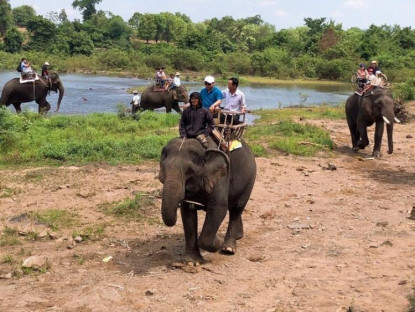 Chuyển động - AAF hỗ trợ Đắk Lắk 2 triệu USD để chấm dứt cưỡi voi