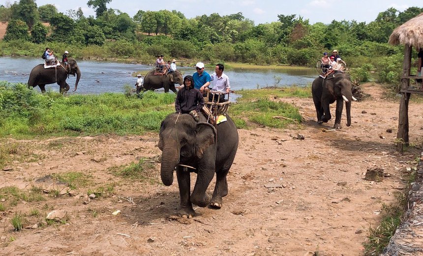 AAF hỗ trợ Đắk Lắk 2 triệu USD để chấm dứt cưỡi voi - 1
