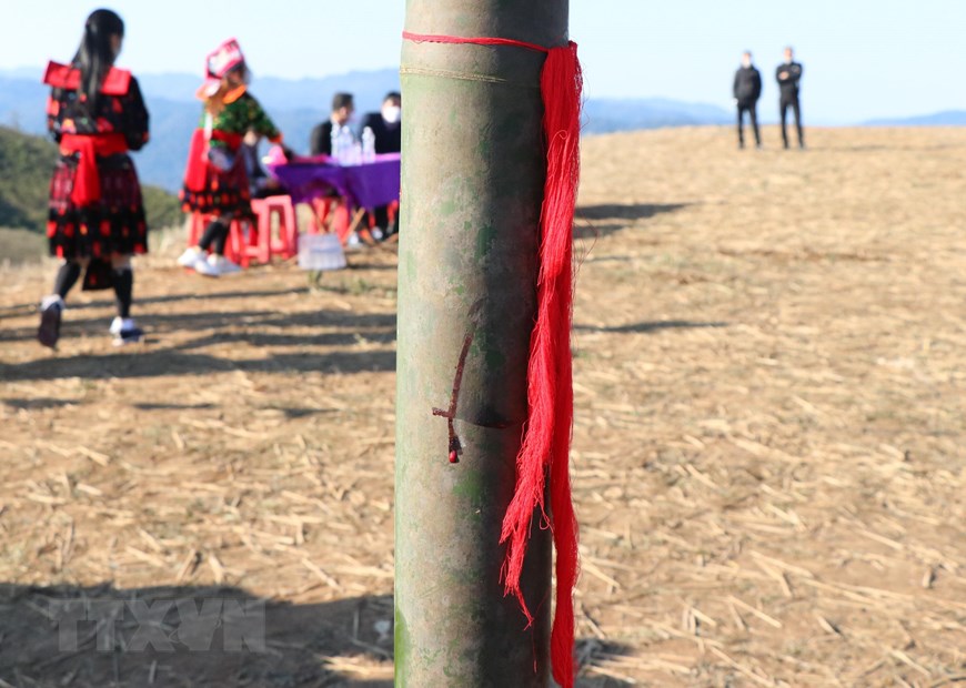Điện Biên: Phục dựng lễ hội Gầu Tào của cộng đồng dân tộc Mông - 10