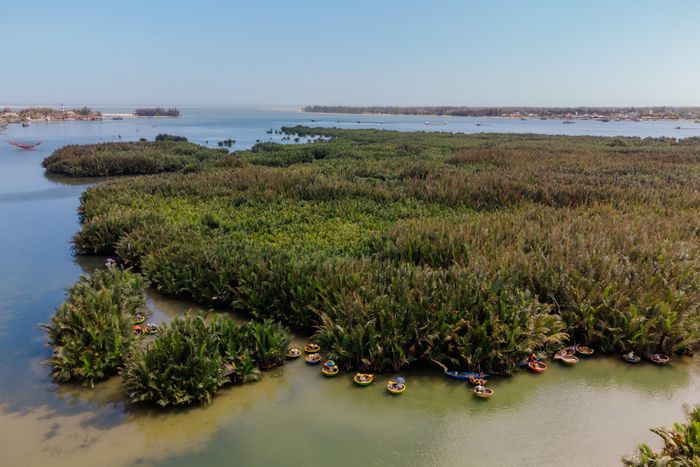 Ngồi thuyền thúng chu du rừng dừa Hội An, xem ngư dân 'cưỡi nước, múa thuyền' - 6