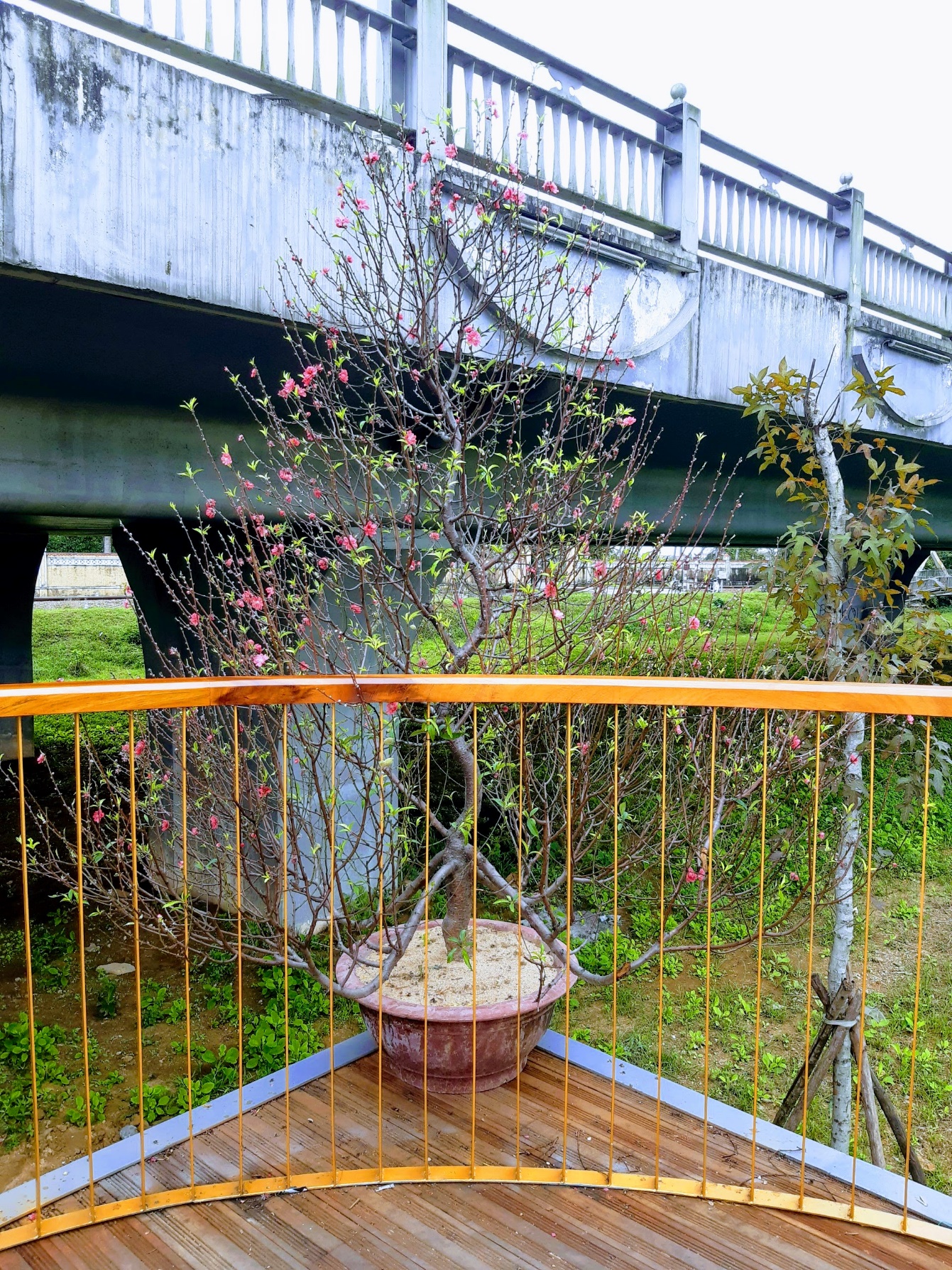 Truy tìm ‘tọa độ’ cây cầu đi bộ được người dân Huế rần rần đến check-in - 16