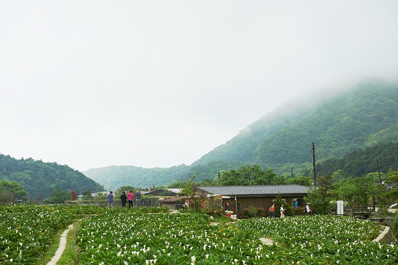 Thưởng ngoạn 'tiên cảnh' nhiều màu sắc rực rỡ của núi rừng Đài Loan - 3