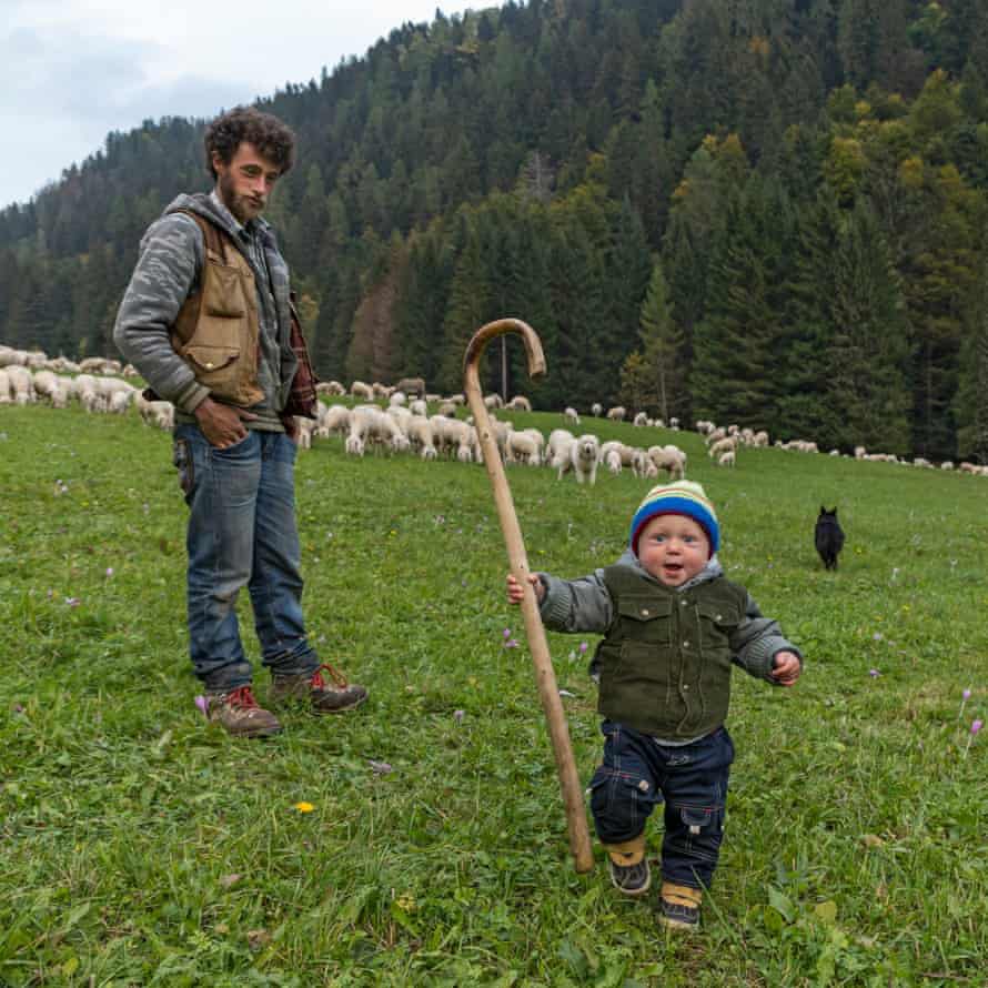 Người lang thang với 1.000 con cừu - 4