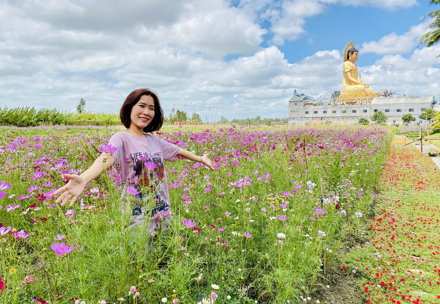 Giới trẻ nườm nượp tới check-in cánh đồng hoa muôn sắc ở Bạc Liêu - 2