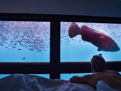 Ở đâu - Khách sạn dưới nước cho phép ngắm nhìn rặng san hô vĩ đại nhất thế giới