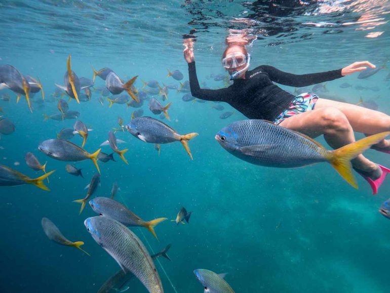 Khách sạn dưới nước cho phép ngắm nhìn rặng san hô vĩ đại nhất thế giới - 5