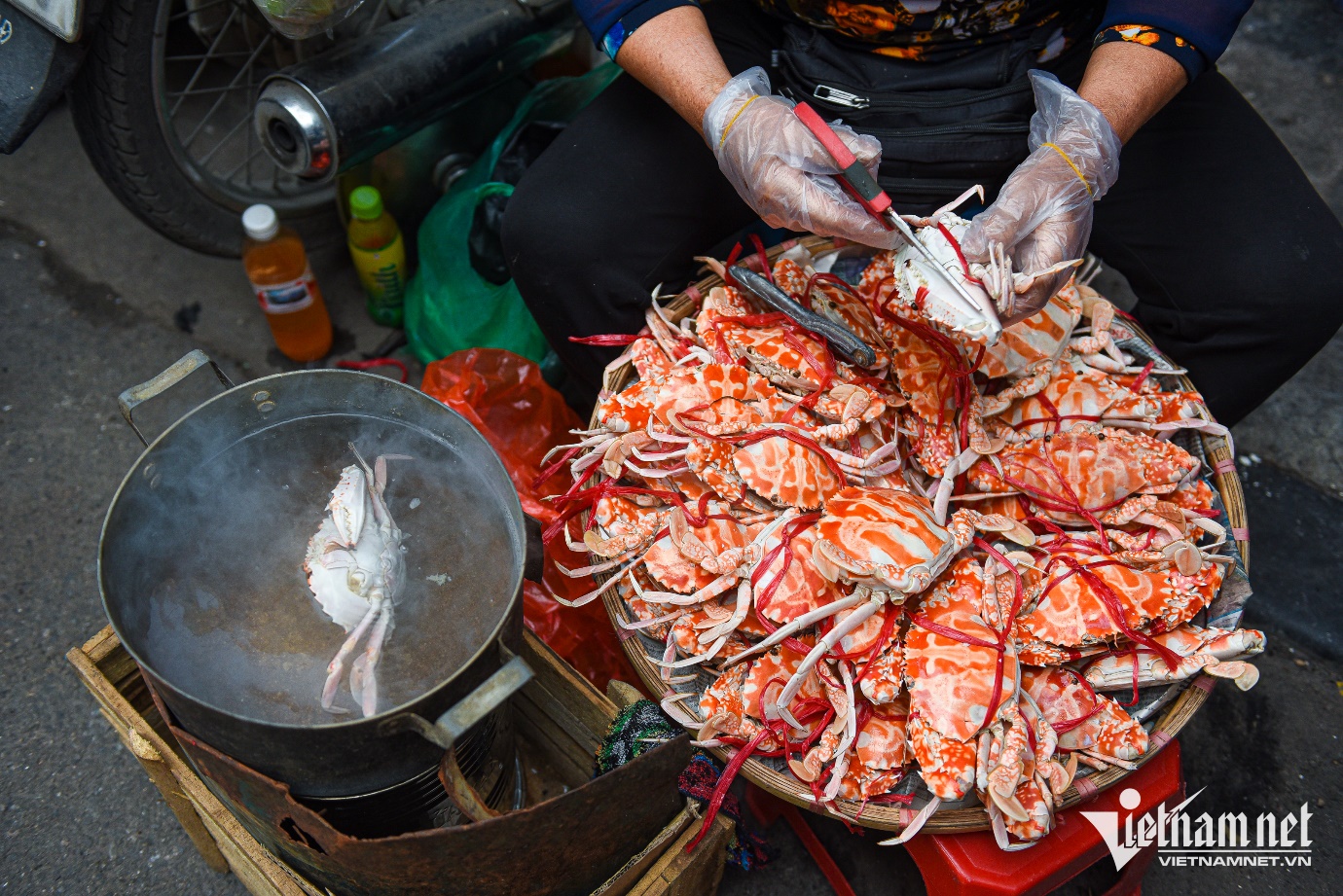 Mẹt ghẹ vỉa hè chợ Đồng Xuân của cụ bà U70, ngày thu đến 20 triệu đồng - 6