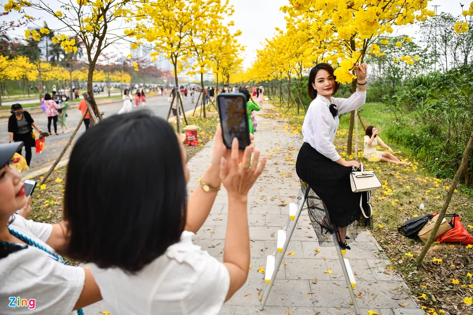 Đổ xô chụp ảnh ở đường hoa vàng óng mới xuất hiện tại Hà Nội - 11