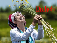 Chuyện đời thú vị của 
