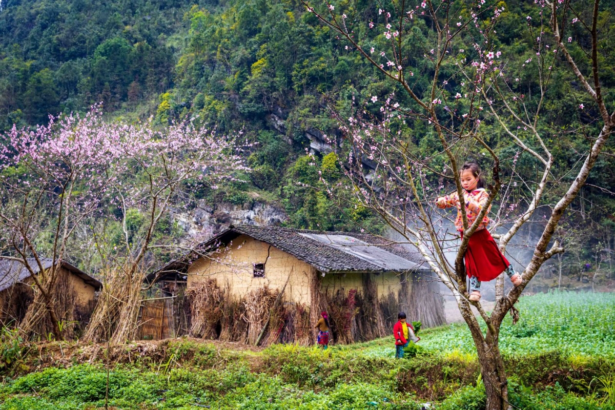 Sức sống trên Cao nguyên đá Đồng Văn - 1