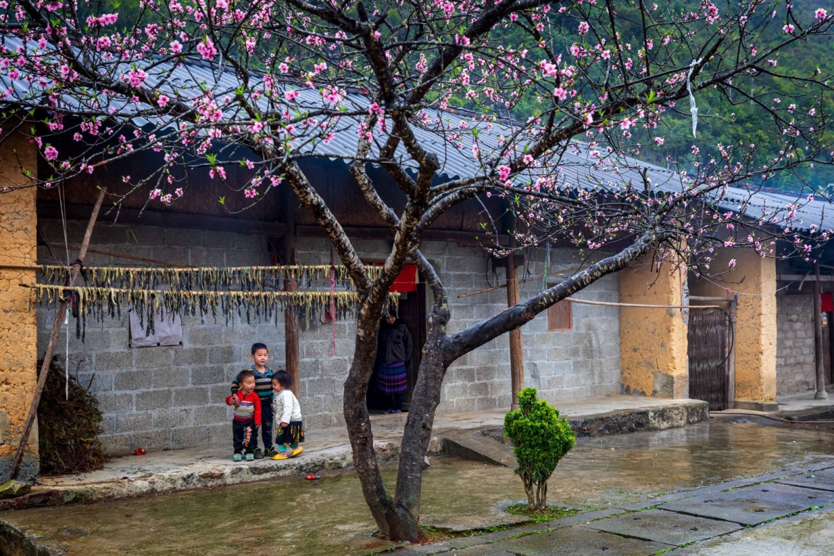 Sức sống trên Cao nguyên đá Đồng Văn - 6