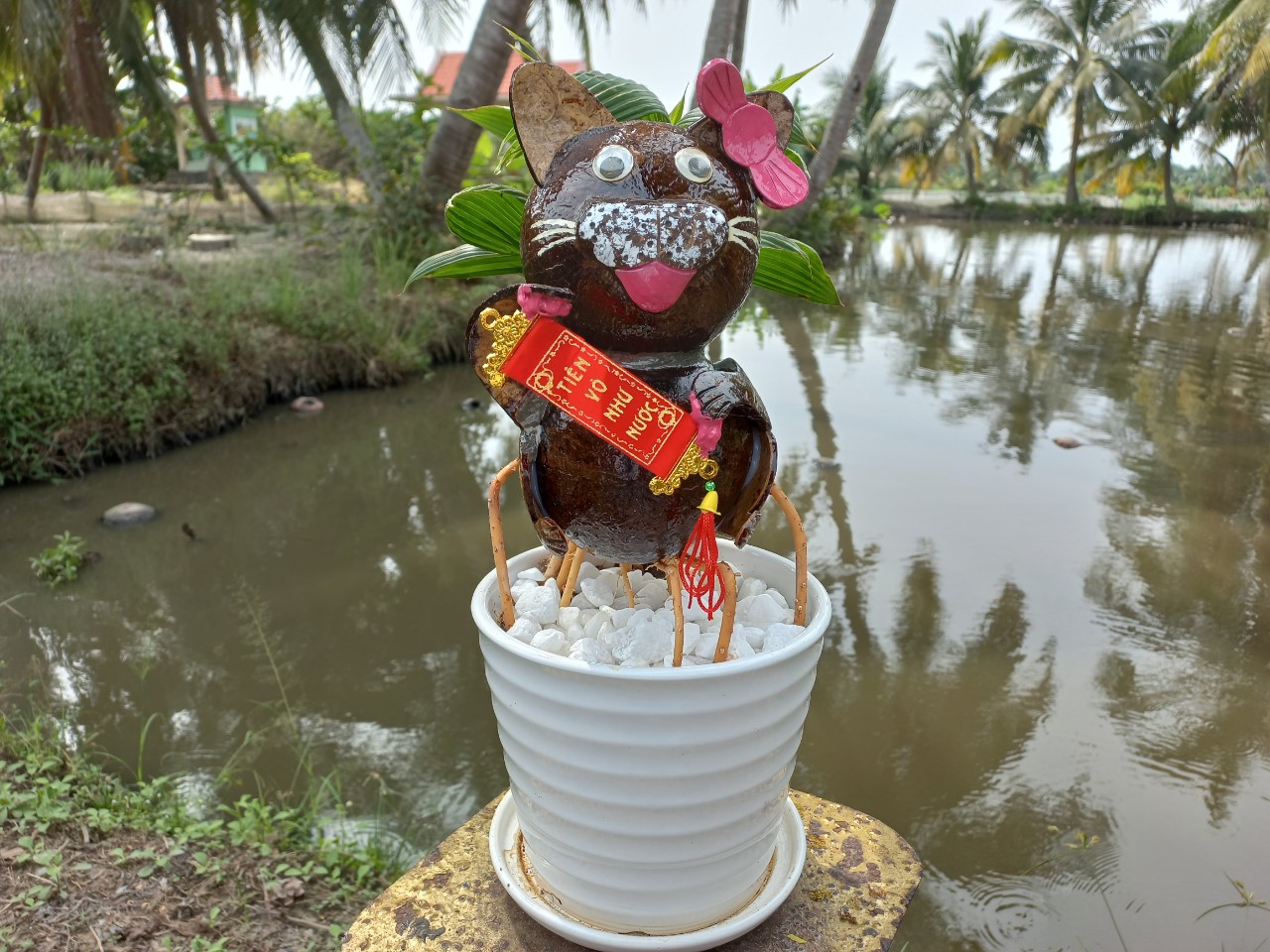 Nhà vườn TP.HCM mang bonsai dừa tạo hình mèo ra chợ Tết Quý Mão - 3