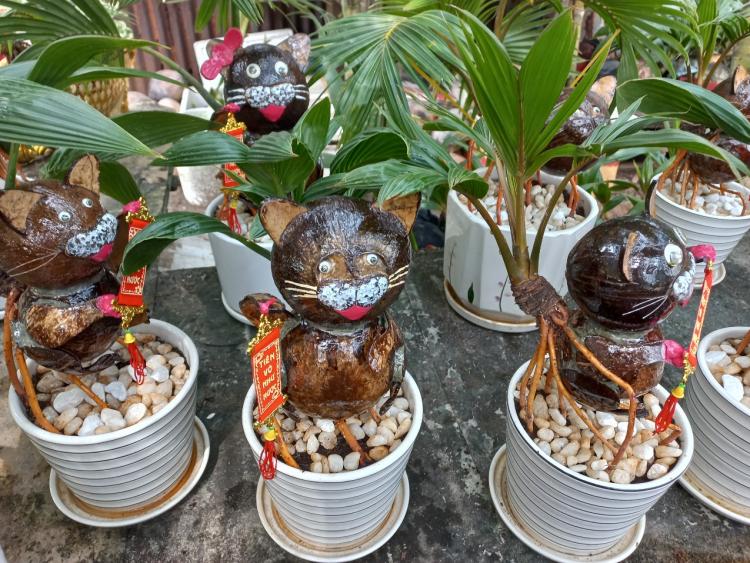 Nhà vườn TP.HCM mang bonsai dừa tạo hình mèo ra chợ Tết Quý Mão