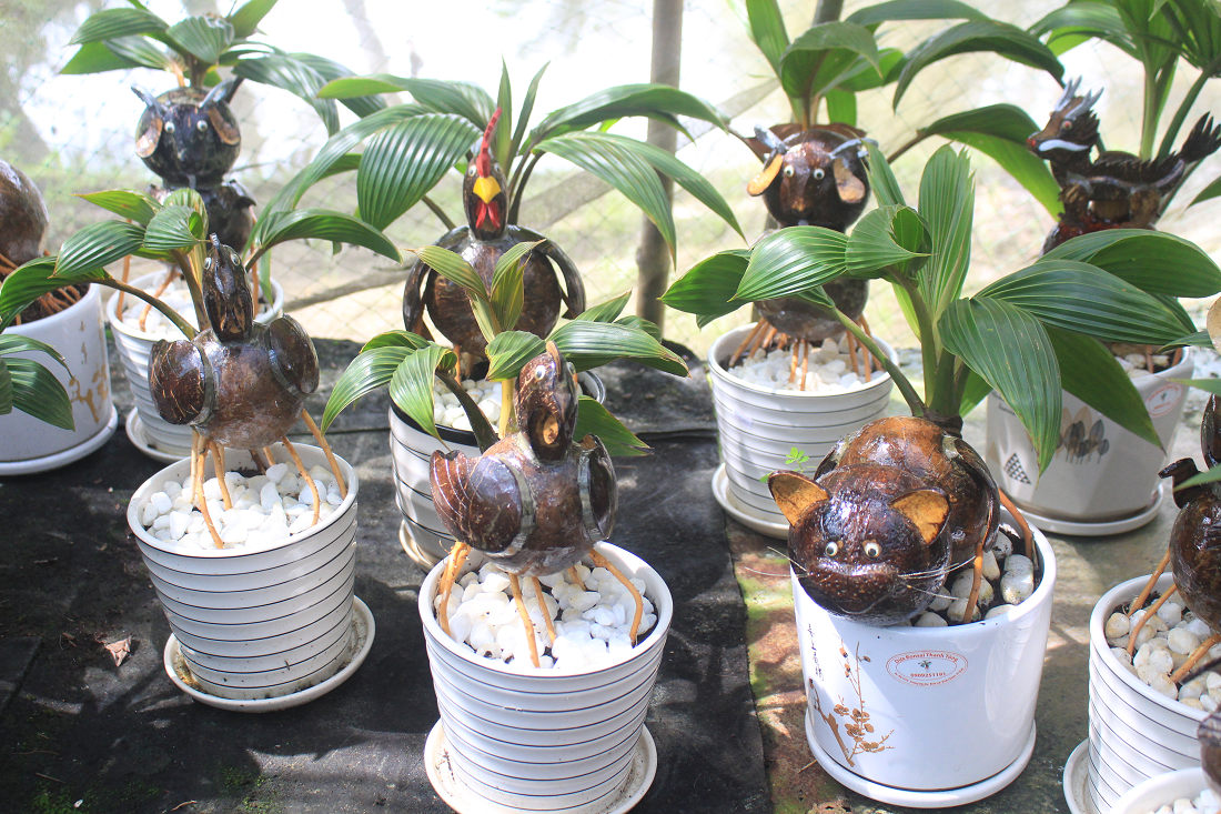 Nhà vườn TP.HCM mang bonsai dừa tạo hình mèo ra chợ Tết Quý Mão - 2