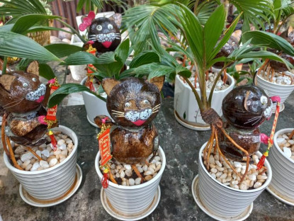 Mua sắm - Nhà vườn TP.HCM mang bonsai dừa tạo hình mèo ra chợ Tết Quý Mão