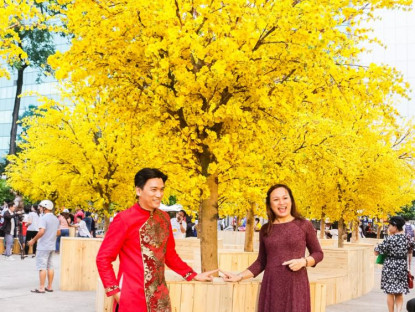 Chuyển động - Thưởng ngoạn 'dạ tiệc' hoa mai ở Lễ hội Tết Việt Quý Mão 2023