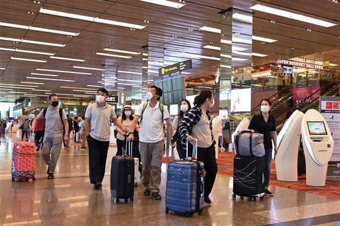 Tại sao Singapore không áp đặt các quy tắc du lịch mới đối với du khách từ Trung Quốc? - 2
