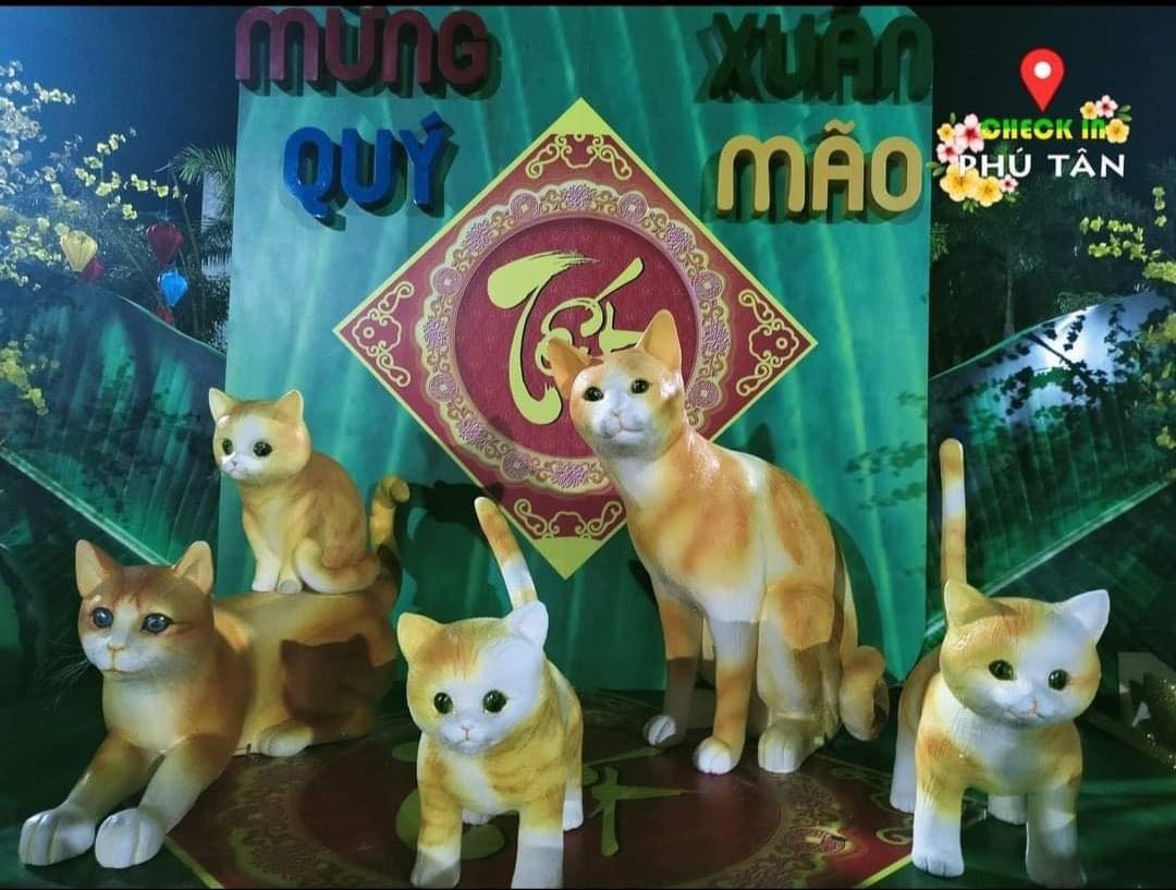 Sát Tết, 500 anh em mèo An Giang vẫn 'chiếm sóng' - 4