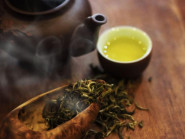 Chè Shan tuyết cổ thụ - Thủy tổ của cây chè