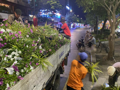 Chuyển động - Đường hoa Nguyễn Huệ được dọn trong đêm, hoa còn đẹp đưa về các công viên