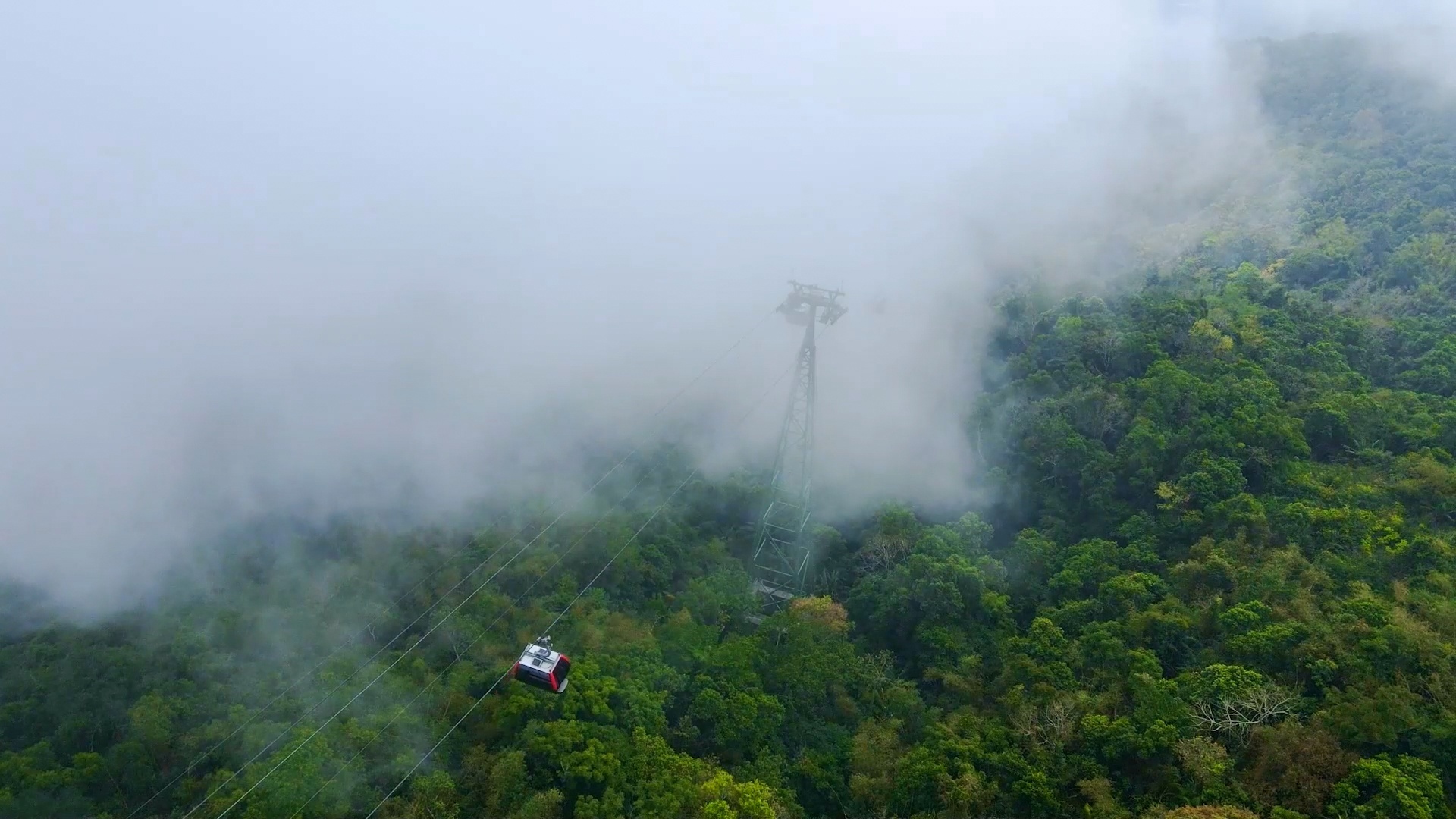 Cáp treo Núi Bà Tây Ninh có lãi tăng gần 20 lần nhờ du khách - 1