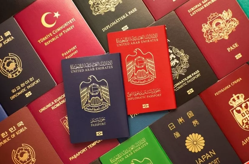 Vì sao bìa hộ chiếu trên thế giới chỉ có 4 màu cơ bản? - 1