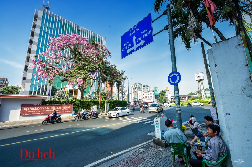 Mùa kèn hồng đến vội ở Sài Gòn - 20