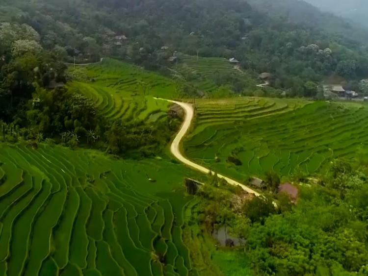 Du lịch xanh - Xu hướng phát triển bền vững của du lịch Việt Nam