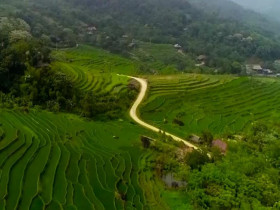  - Du lịch xanh - Xu hướng phát triển bền vững của du lịch Việt Nam