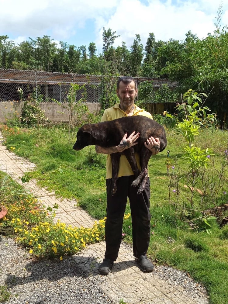 Người đàn ông Pháp cưu mang chó mèo ở Đồng Nai - 1