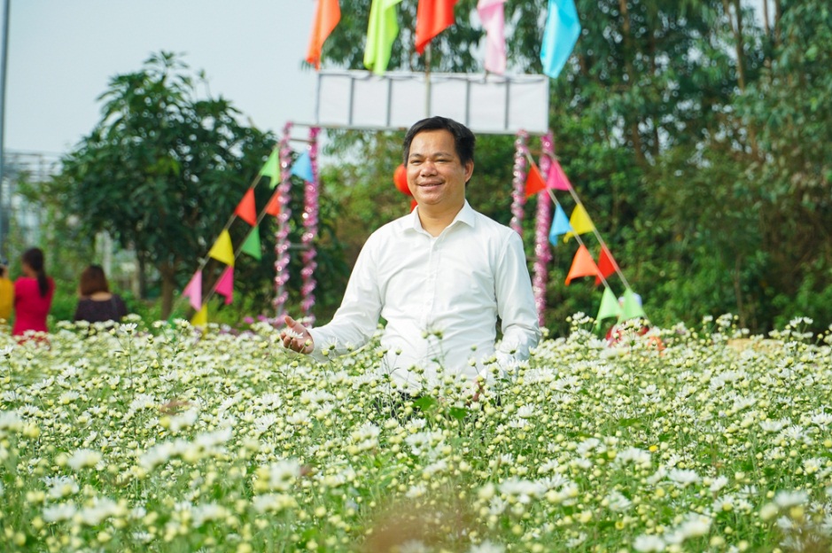 Đà Nẵng: Vườn cúc họa mi trái mùa thu hút người dân, du khách - 3