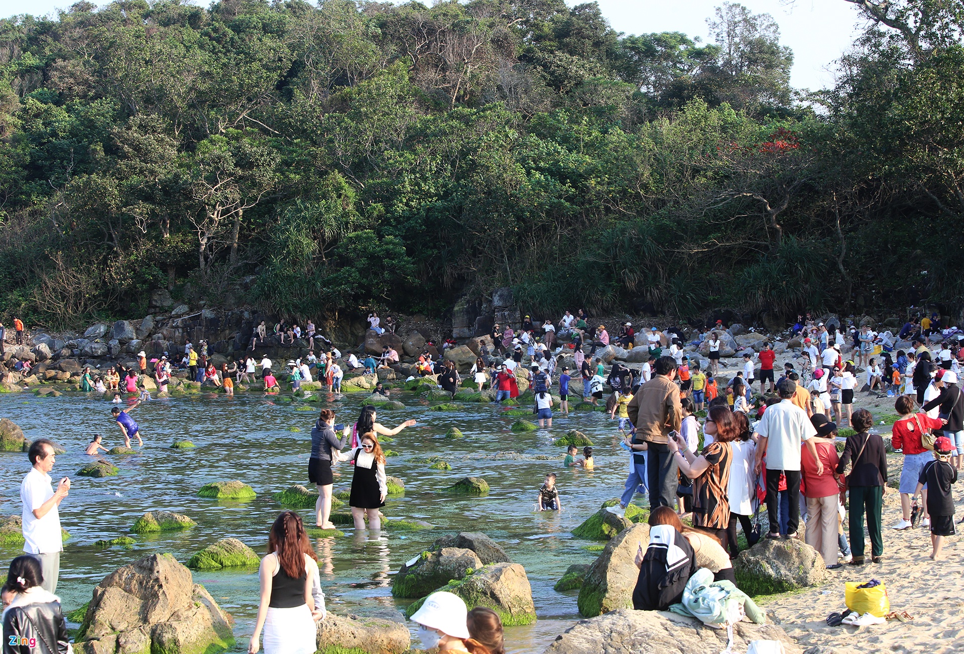 Người dân đổ xô chụp ảnh rêu xanh ở cửa biển Nam Ô - 5