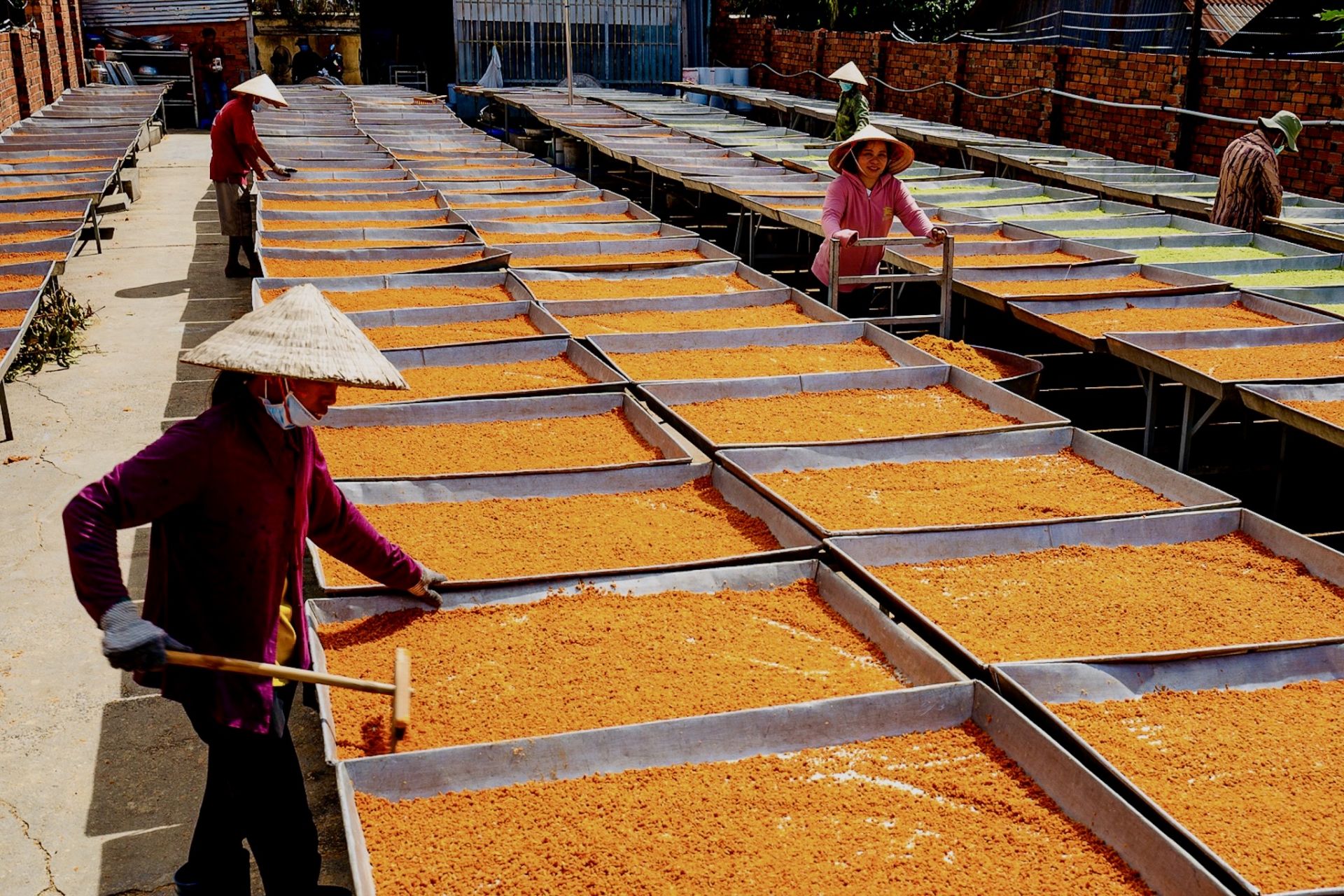 Nghề làm muối ớt Tây Ninh được công nhận là di sản quốc gia - 1