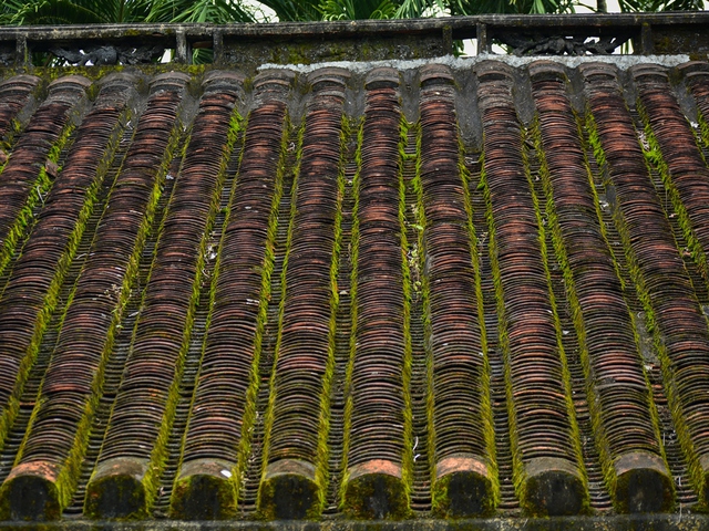 Bình yên nơi nhà cổ hơn 200 năm tuổi ở Đà thành - 6