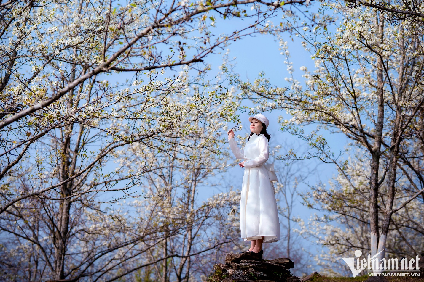 Du khách mê mẩn chiêm ngưỡng mùa hoa lê phủ trắng núi rừng Tuyên Quang - 6