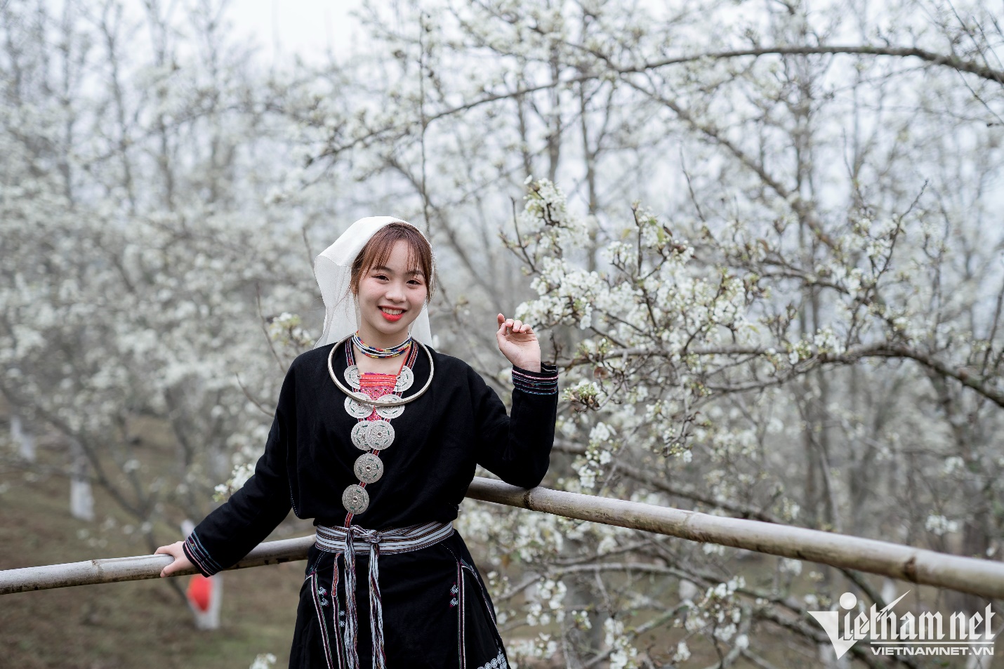 Du khách mê mẩn chiêm ngưỡng mùa hoa lê phủ trắng núi rừng Tuyên Quang - 8