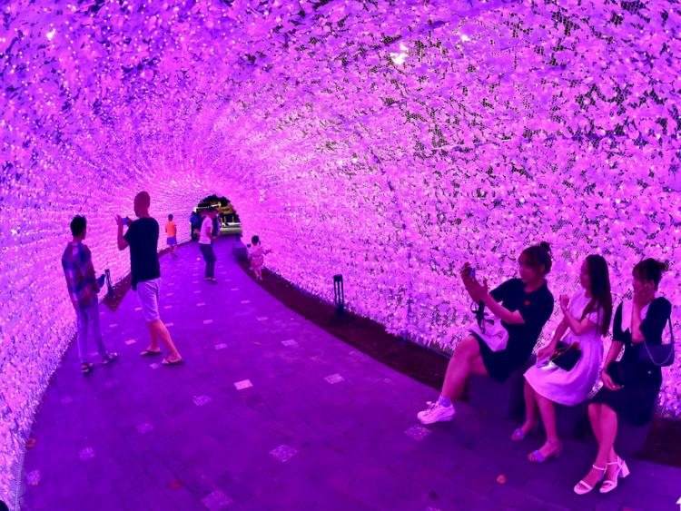 Bến Bạch Đằng bừng sáng với 500.000 đèn LED kết thành hồ sen, vườn hoa Sakura