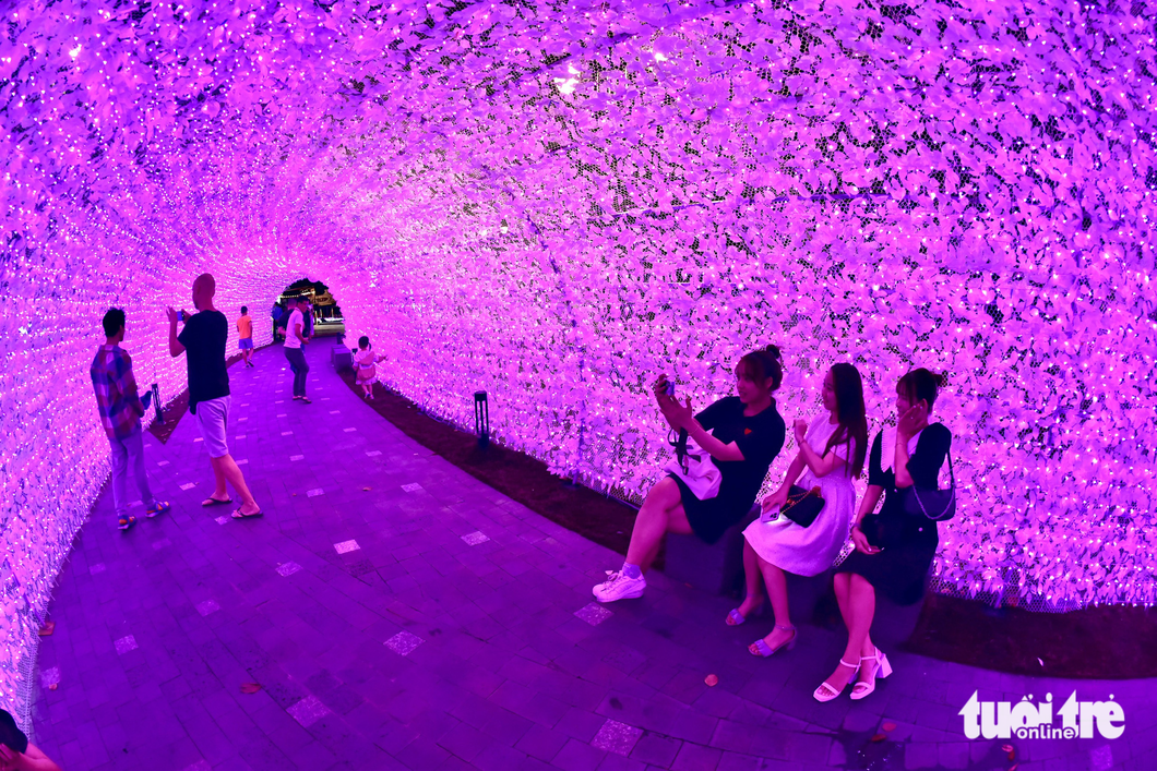 Bến Bạch Đằng bừng sáng với 500.000 đèn LED kết thành hồ sen, vườn hoa Sakura - 4