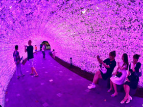 - Bến Bạch Đằng bừng sáng với 500.000 đèn LED kết thành hồ sen, vườn hoa Sakura