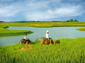  - Chuyến đi không có vé khứ hồi