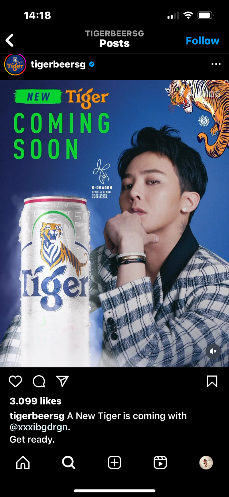 Cầm cúc chạy trước Cá Tháng Tư, Tiger Beer nửa đùa nửa thật gắn luôn G-Daisy lên poster, lại có biến gì đây chăng? - 1