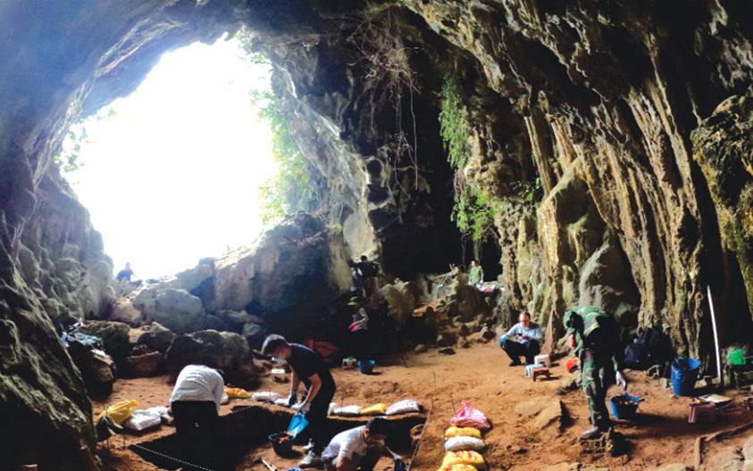 Phát hiện loài thú cổ trong hang động ở Hà Nam - 1