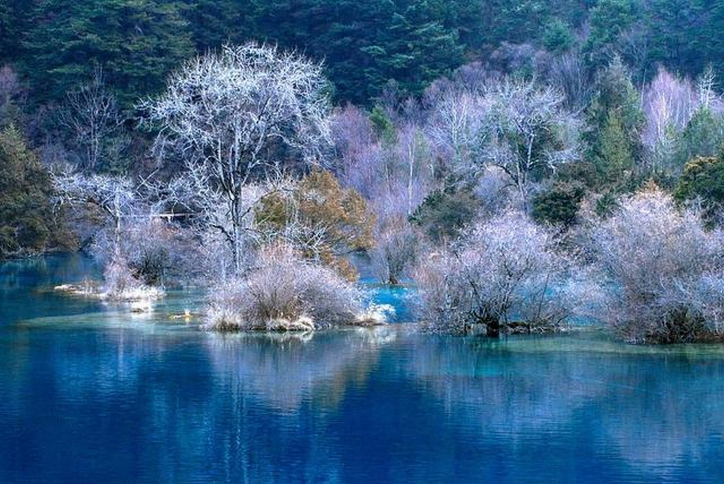 Tour du lịch “Thành Đô - Cửu Trại Câu” bay thẳng từ Cam Ranh - 1