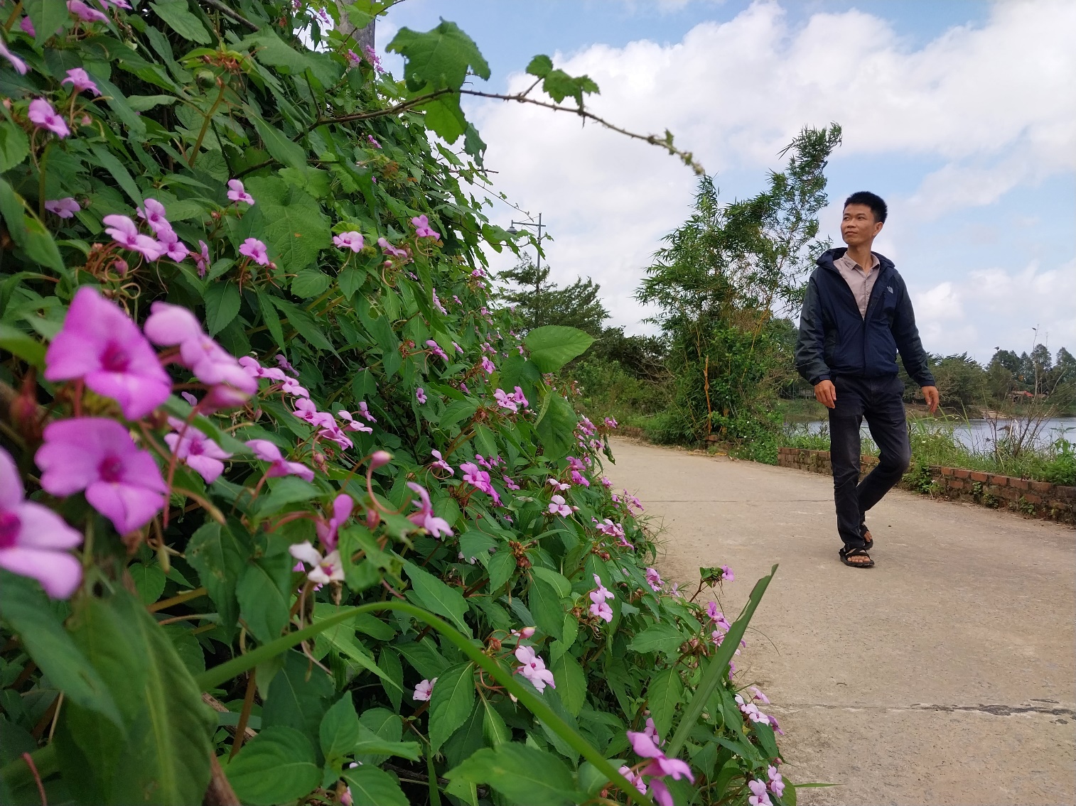 Bình yên ở ngôi làng cổ bên dòng sông Ô Lâu - 1
