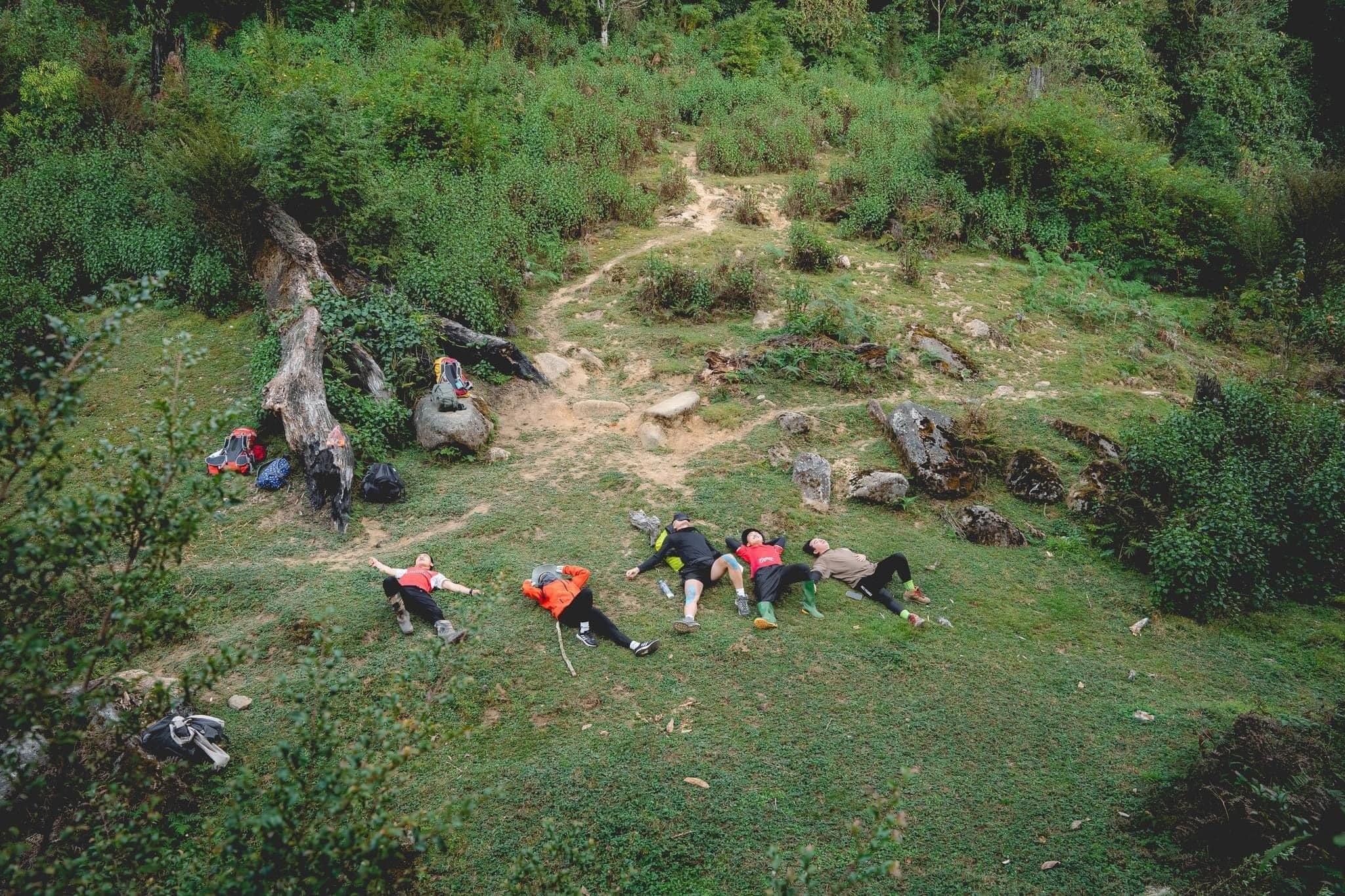 Trekking rừng rêu đẹp ma mị như trong phim Avatar - 8