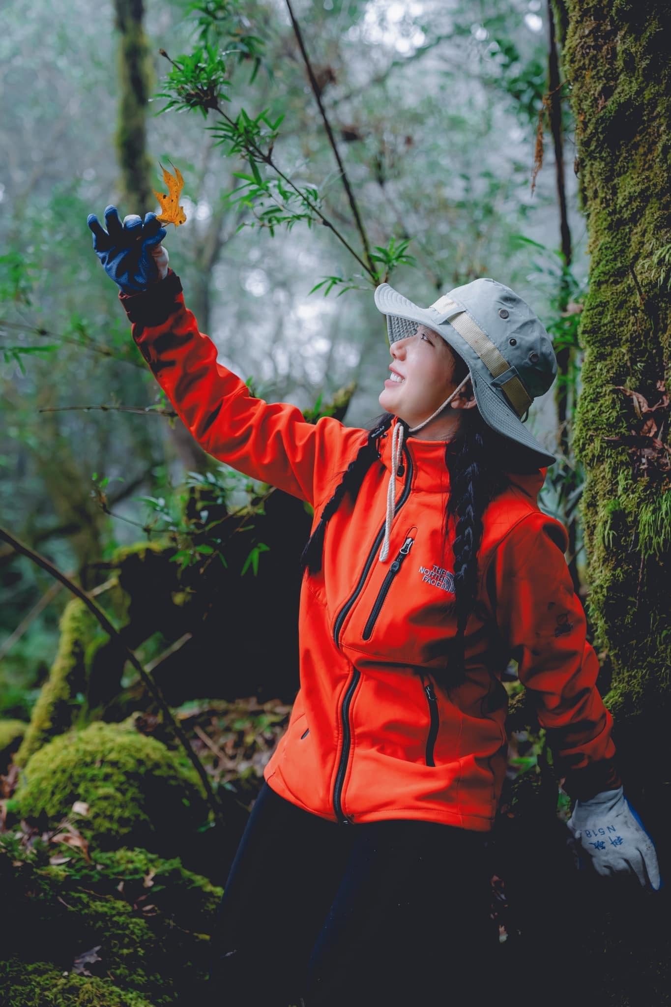 Trekking rừng rêu đẹp ma mị như trong phim Avatar - 17